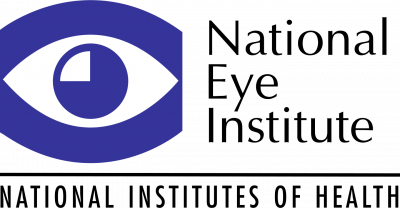 NEI logo